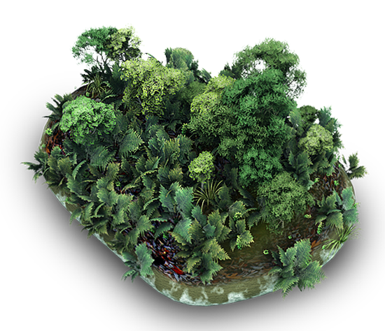 Creative - Landscaping design