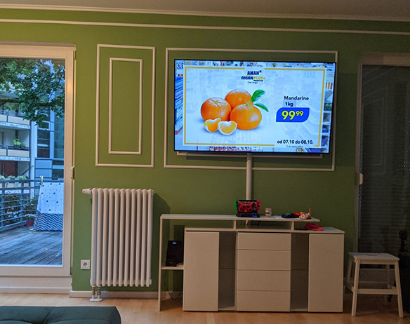 Interior private houses